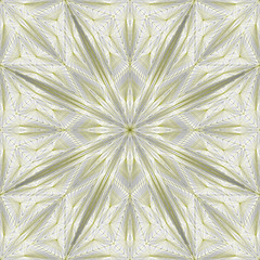 Jos Vromans | Artwork | Triangle Subdivision mint number 227